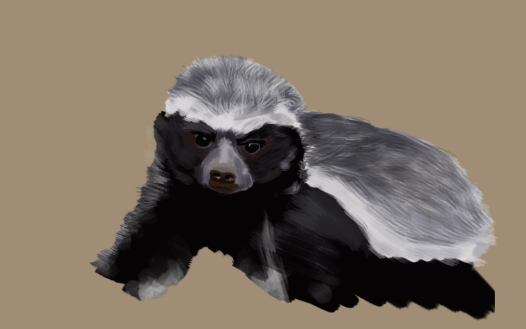 Медоед картинки аватарки