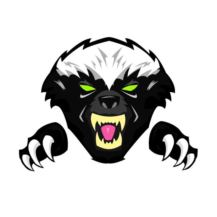 Барсук Росомаха медоед