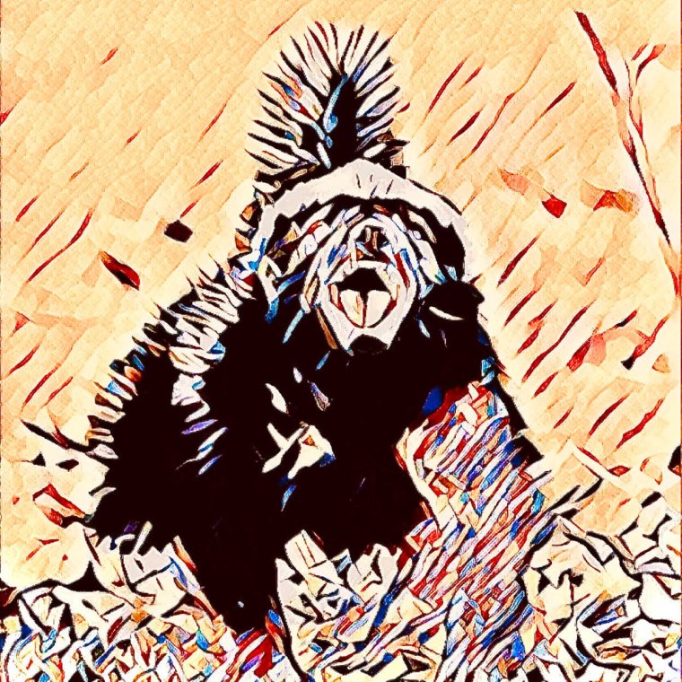 Медоед мультяшка