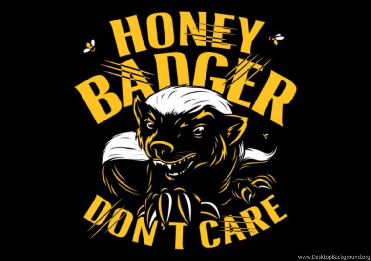 Скелет медоеда