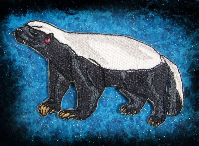 Honey Badger DEVIANTART