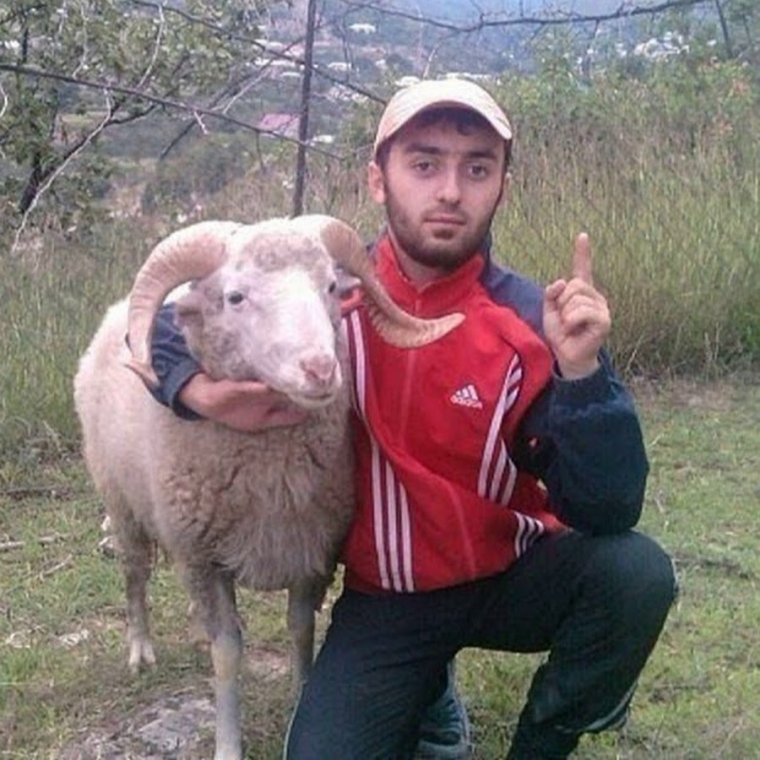 Кавказские мемы смешные