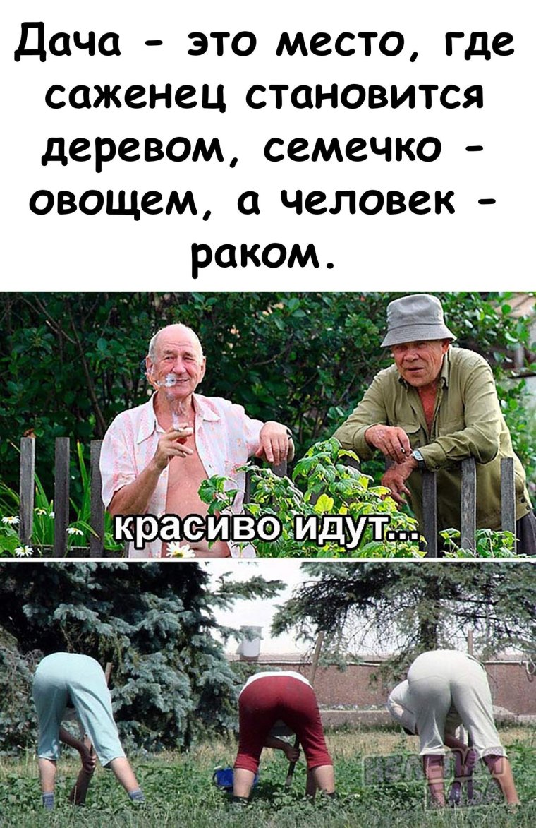 Про огород прикольные