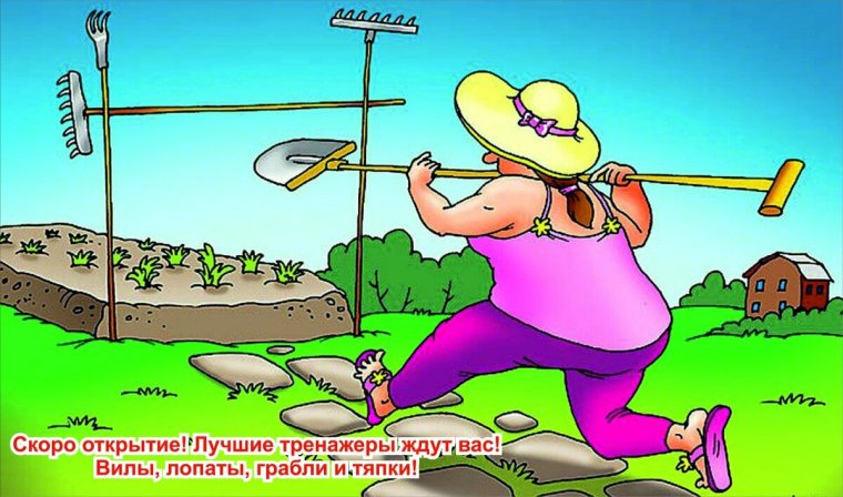 Огород карикатура