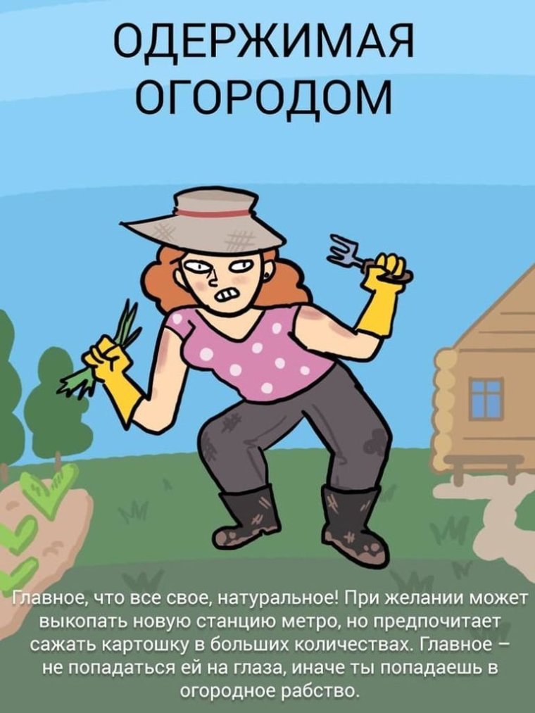 Афоризмы про дачу