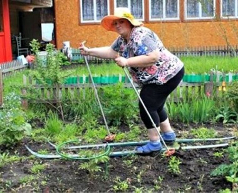 Про огород прикольные