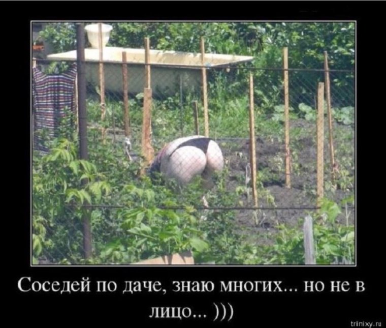 Соседка по даче