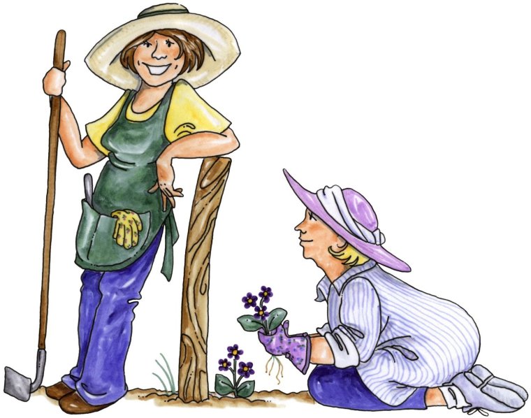 Карикатуры про дачу и дачников