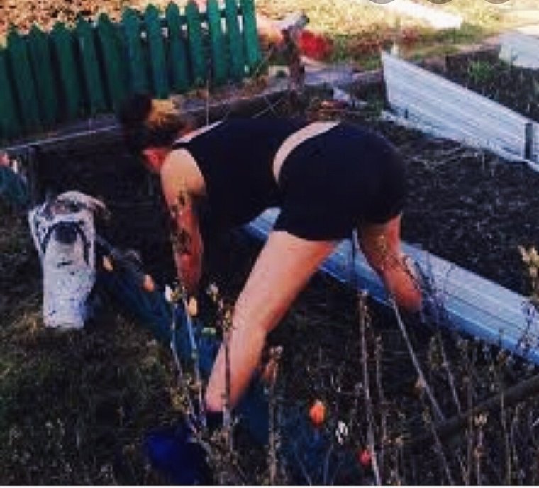 Девушки в огороде на даче