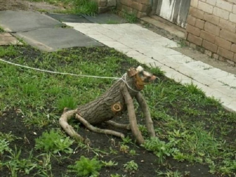 Садовые приколы