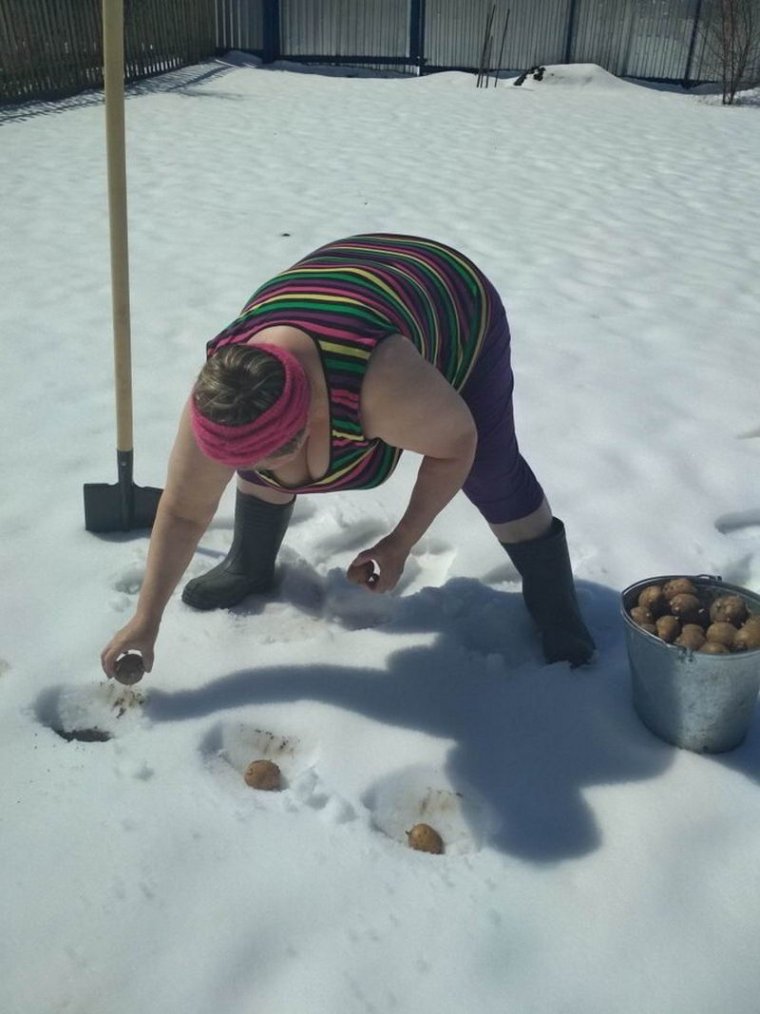 Садим картошку прикол