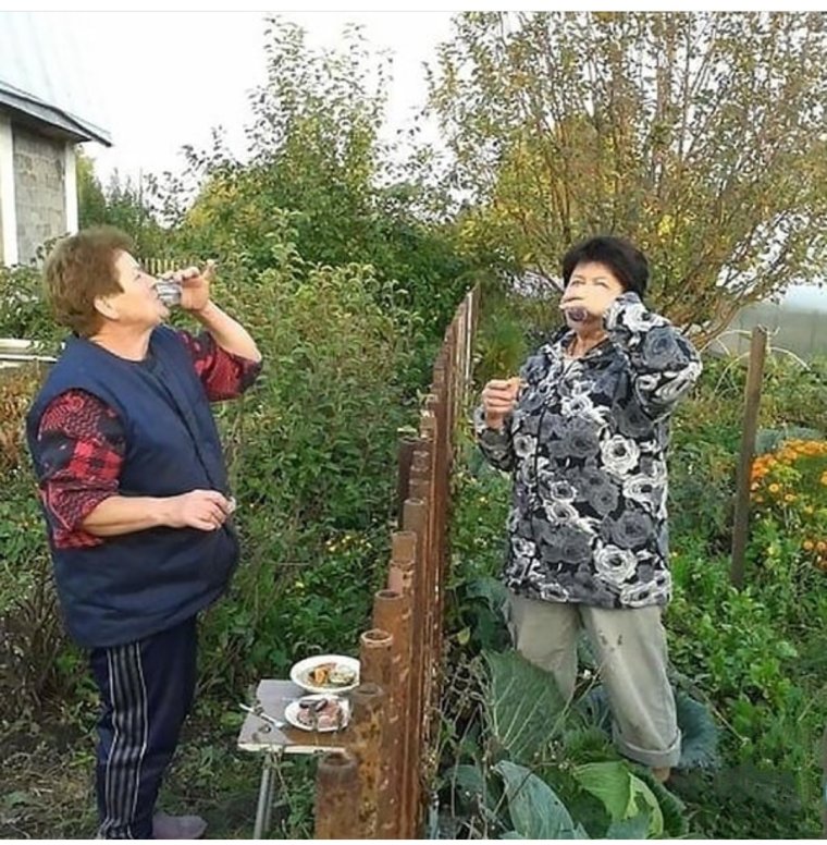 Приколы на даче с соседками