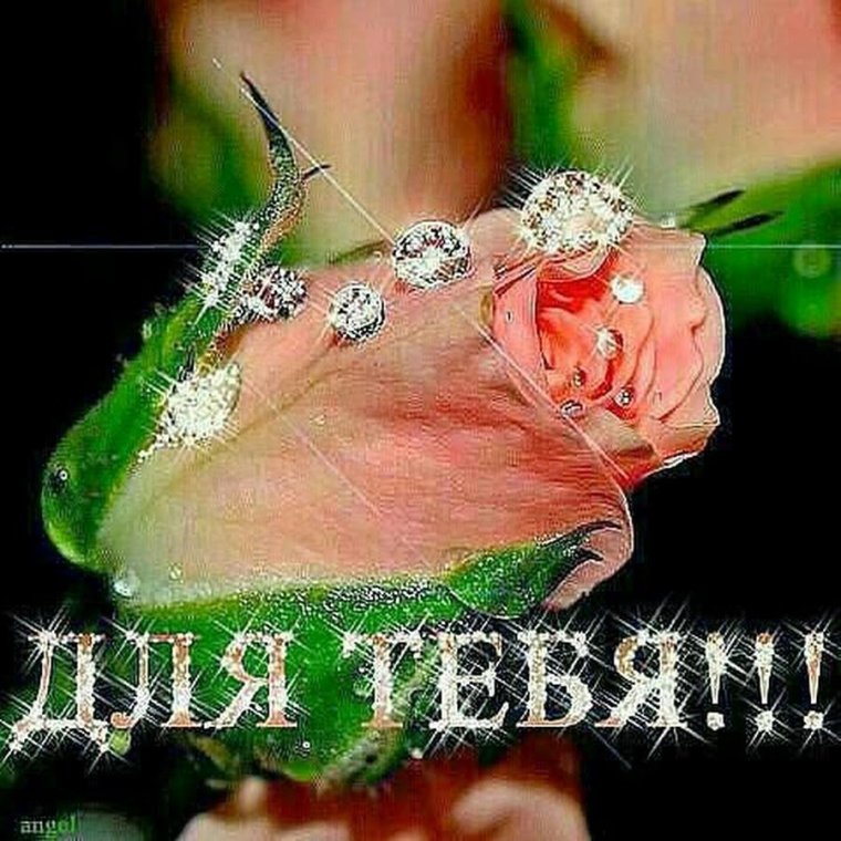 Аватарки с надписями для девушек