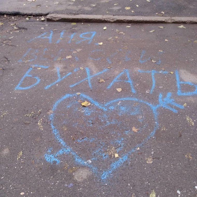 Кот Пидрила