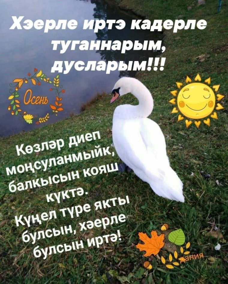 Букет цветов с пожеланиями