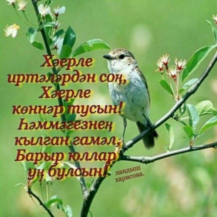 Хэерле иртэ картинки пэнжешэмбе