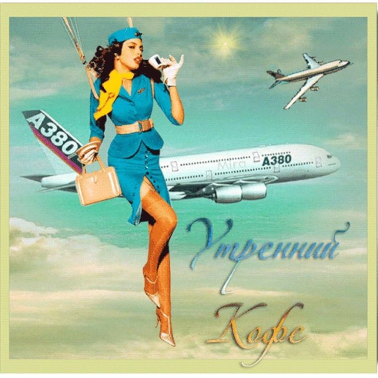 Жираф в окне самолета