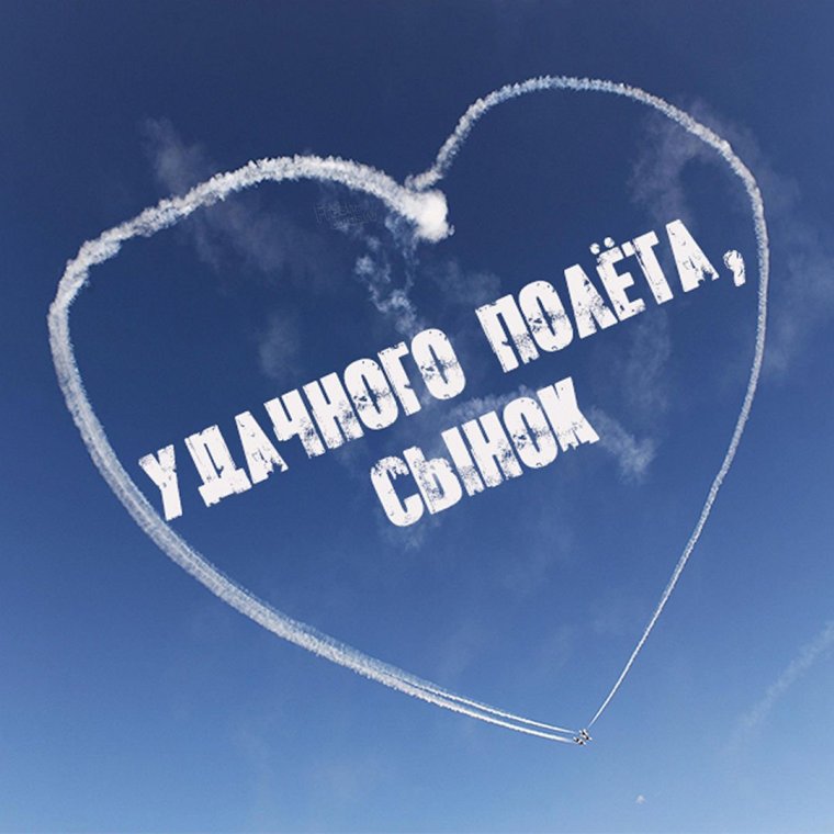 Котенок в игрушечном самолете