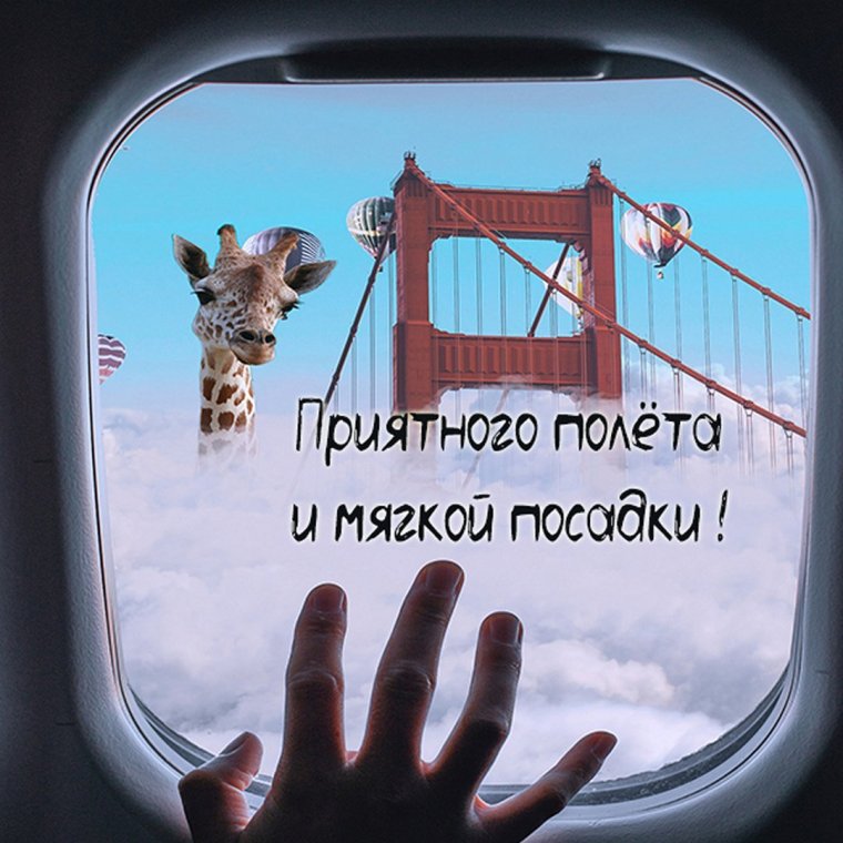 Самолет любви