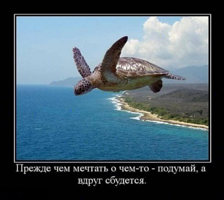 Высказывания про авиацию