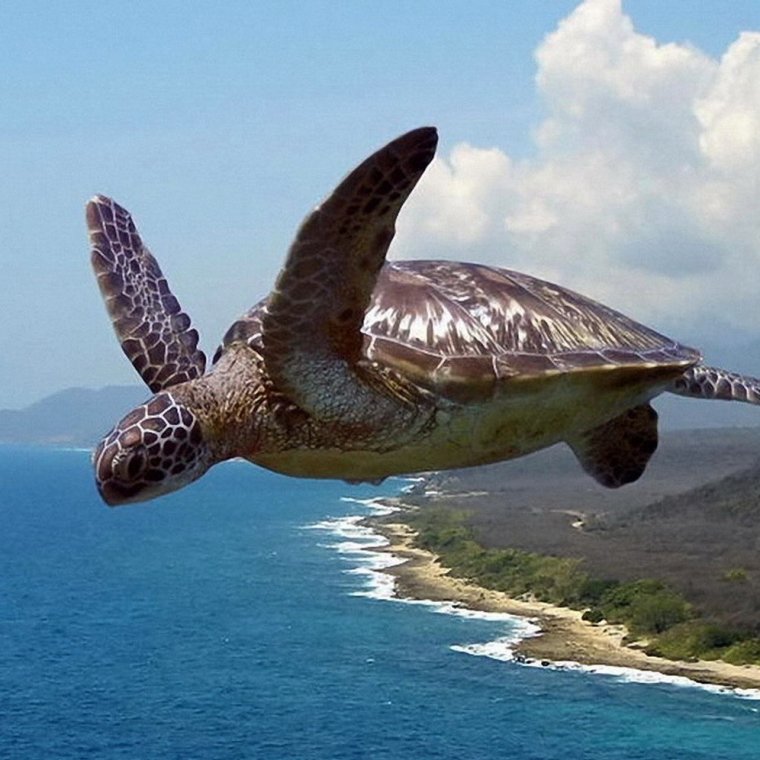 Хорошей дороги любимый