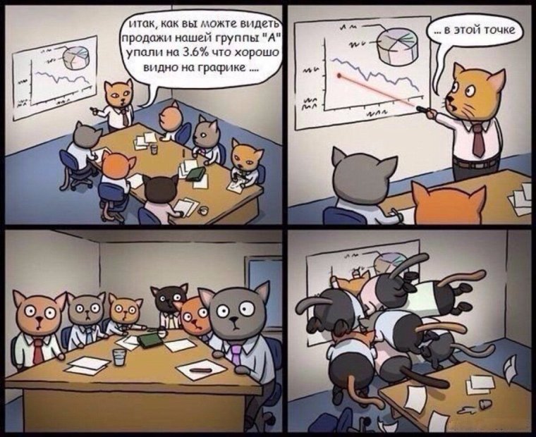 Кот на совещании прикол