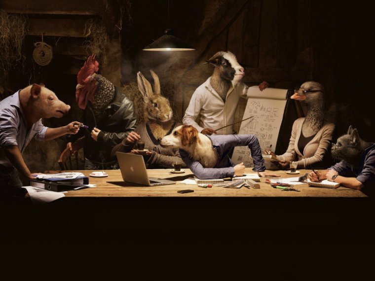 Совещание Мем