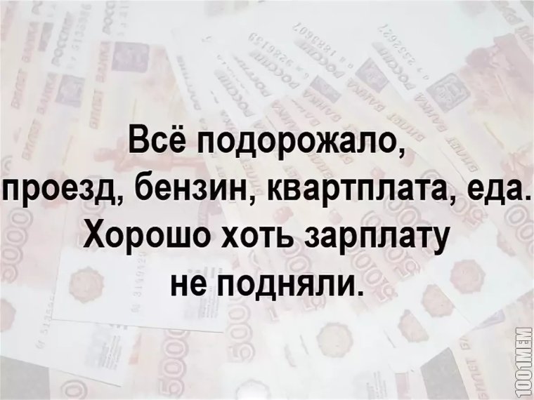 Смешные цитаты про зарплату