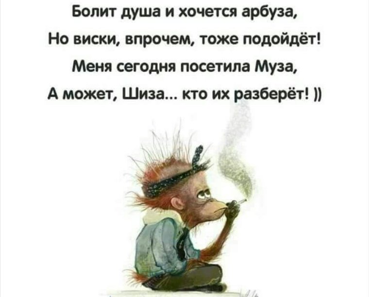 Смешные цитаты про зарплату