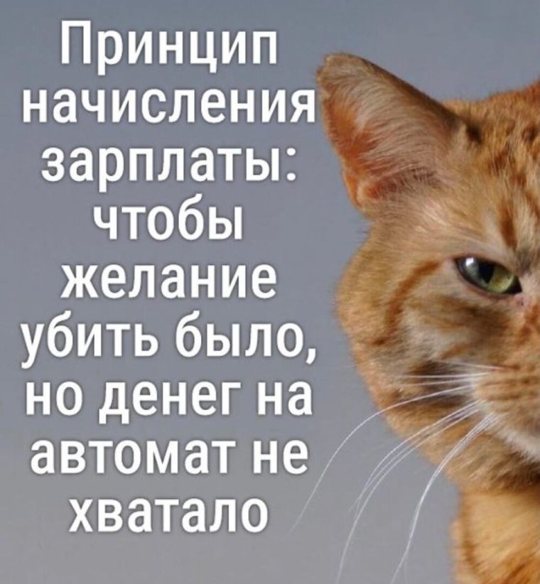 Маленькая зарплата прикол