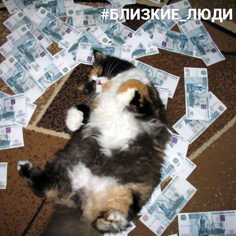 Денежки пришли