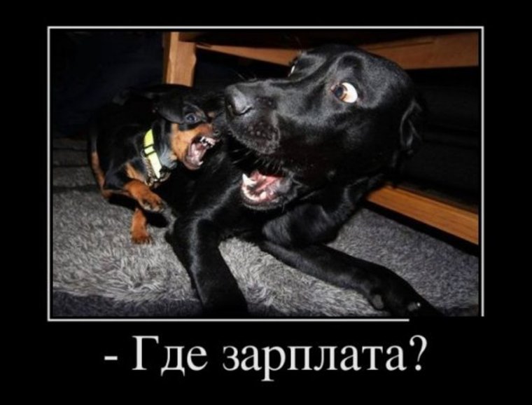 Леонардо ди Каприо Мем остров проклятых