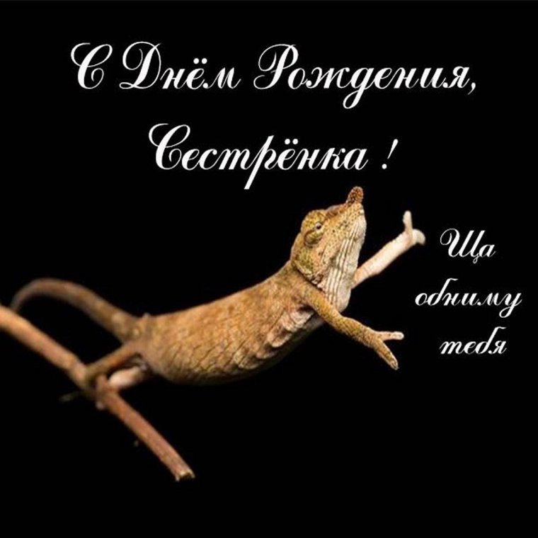 Поздравления с днём рождения сестре прикольные