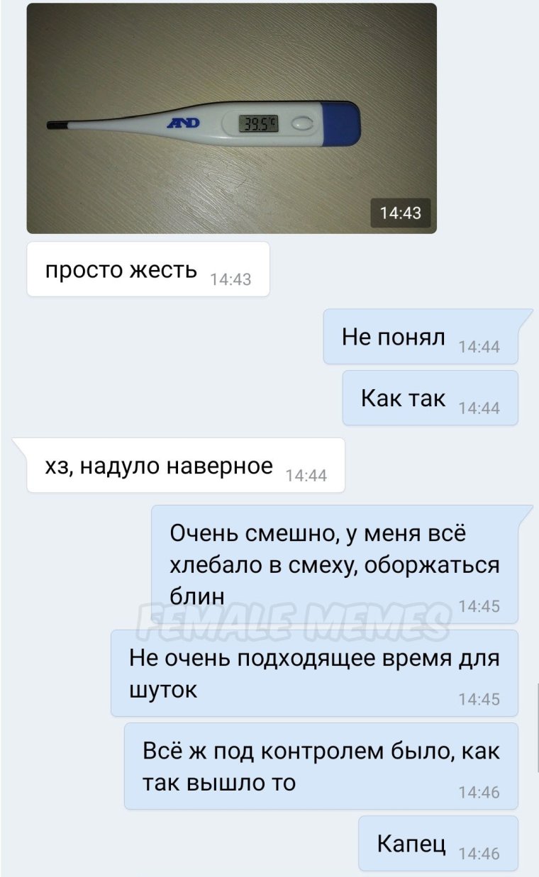 Тест на беременность прикол