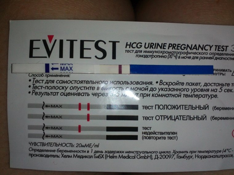 Отрицательный результат теста эвитест