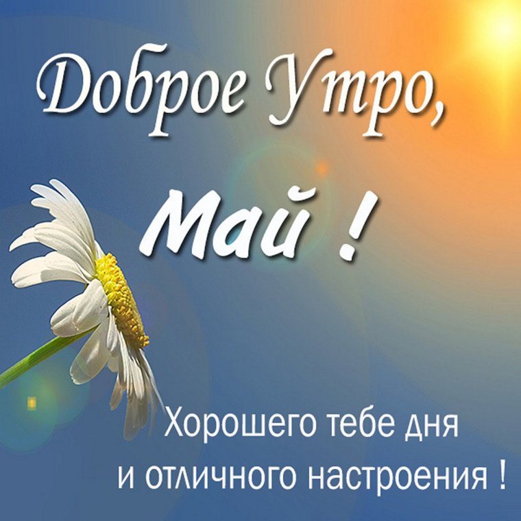 Карина и Лиза