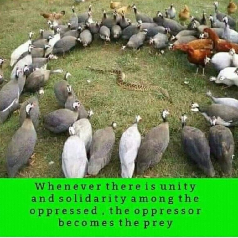 Женский коллектив прикол