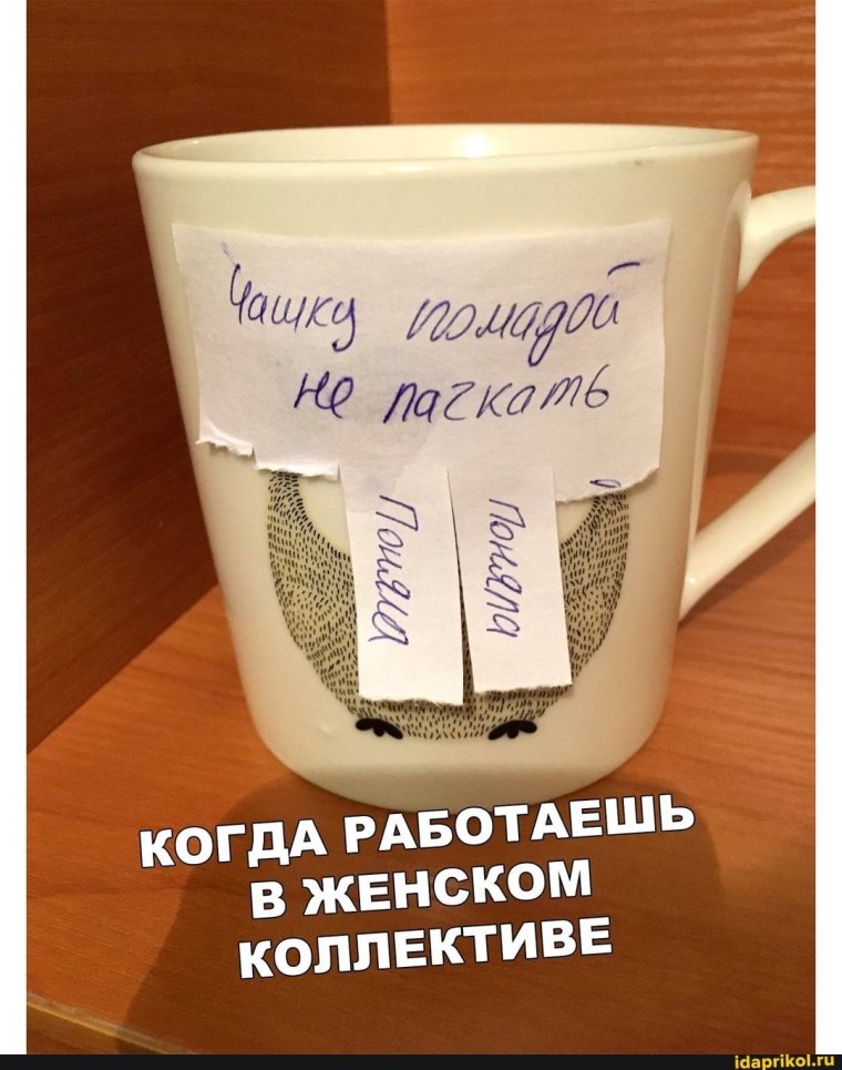 Женский коллектив юмор