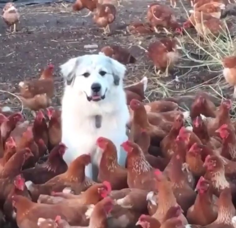 Подружки демотиватор