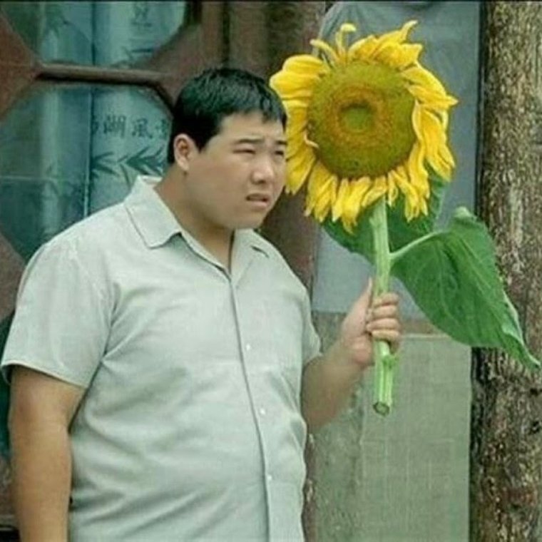 Хью Джекман с цветами