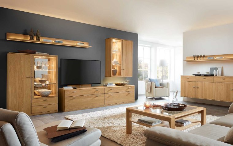 Немецкие гостиные в современном стиле