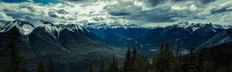 Горные леса