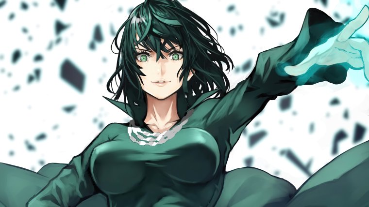Onepunchman Fubuki