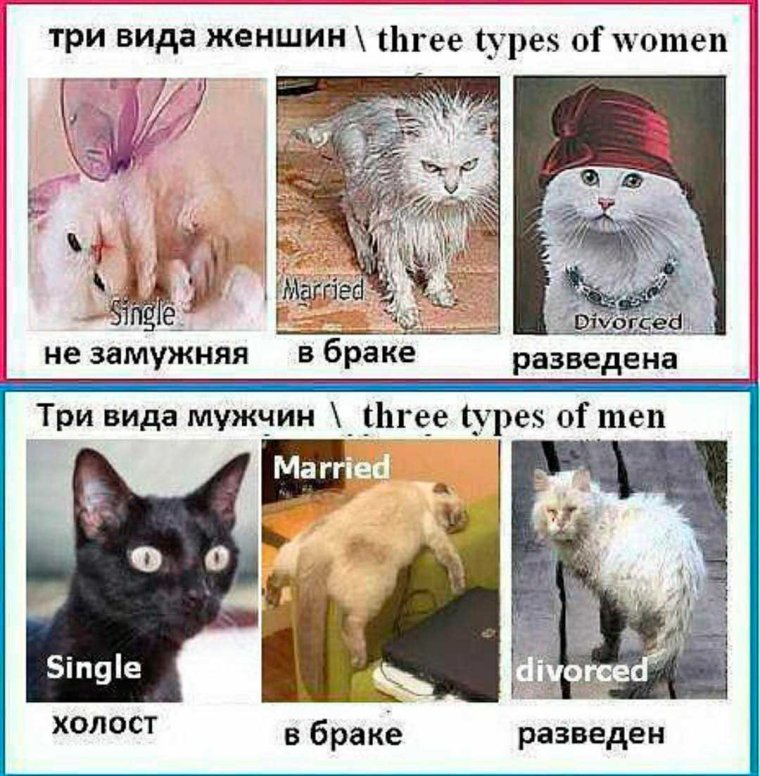 Три вида женщин