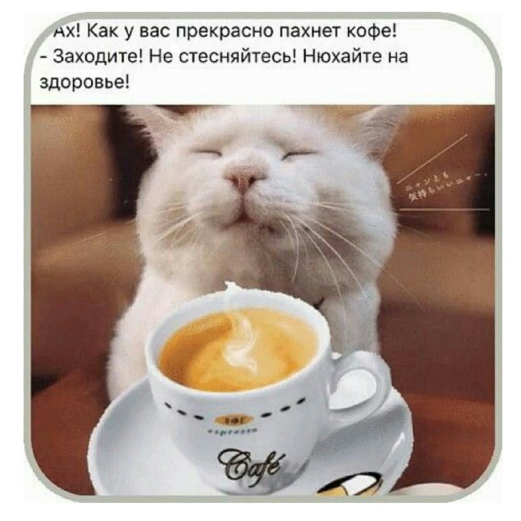 Вот так просыпаешься утром и сразу понимаешь что нуждаешься в улыбке