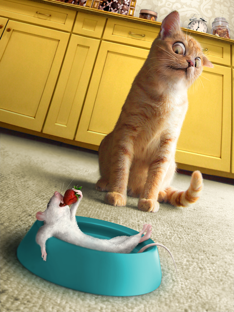 Доброе утро с кошками смешные