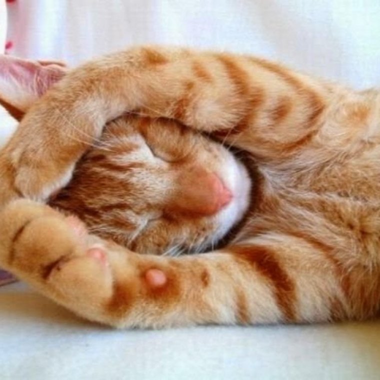 Мой девиз четыре слова сам не спишь буди другого