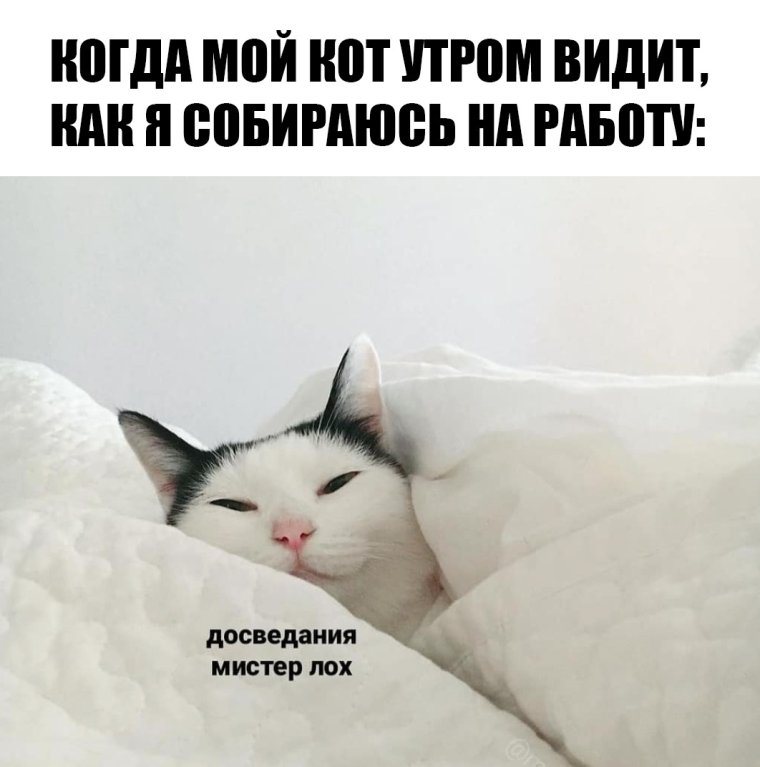 Опять понедельник