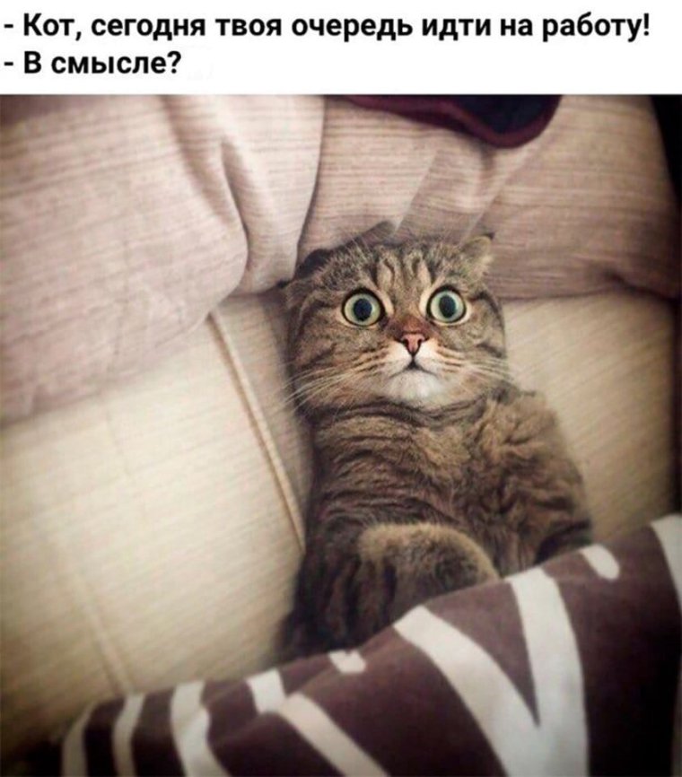 До свидания Мистер лох