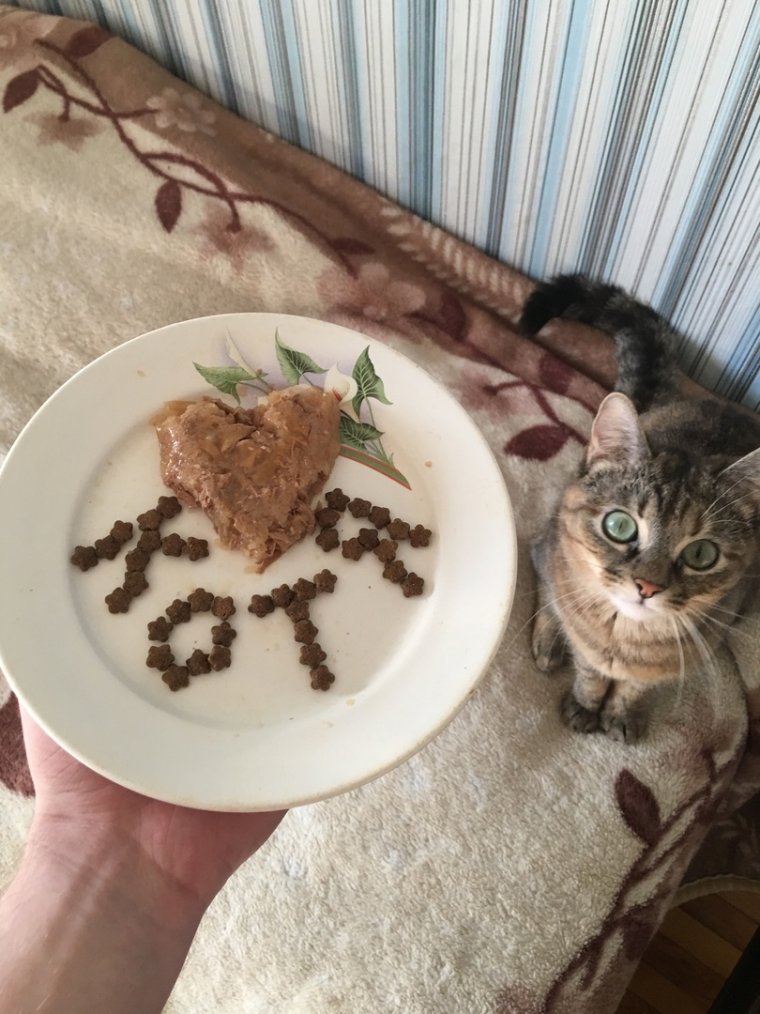 С добрым утром котенок